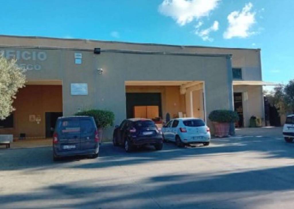 immagine annuncio 13 di 14