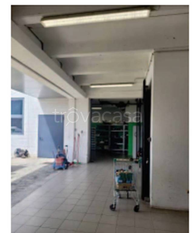 immagine annuncio 1 di 12