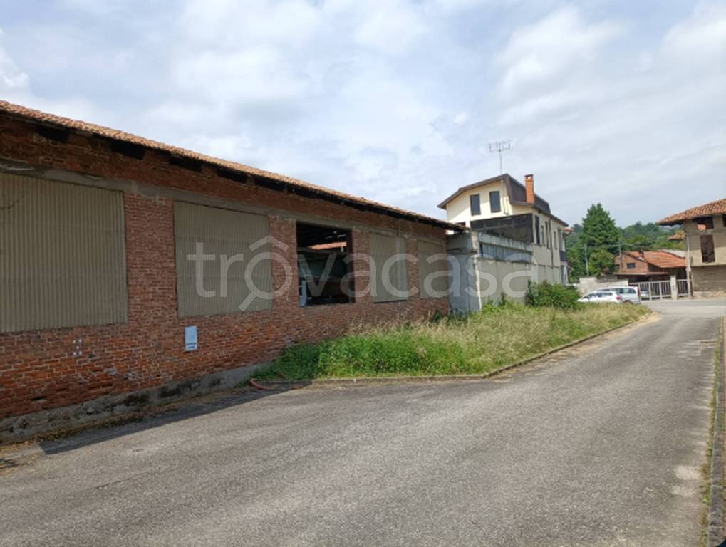 immagine annuncio 3 di 11