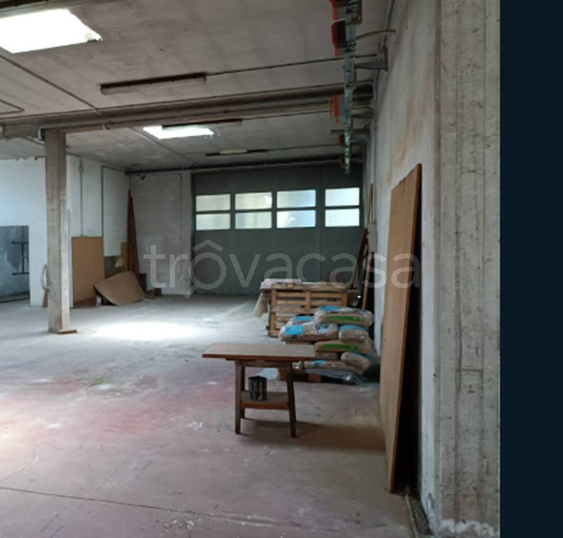 immagine annuncio 8 di 11