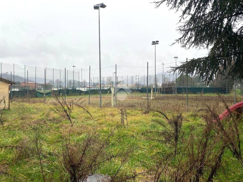 immagine annuncio 4 di 7