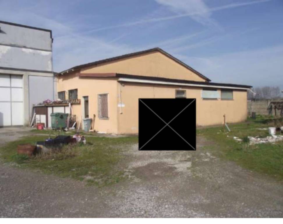 immagine annuncio 1 di 13