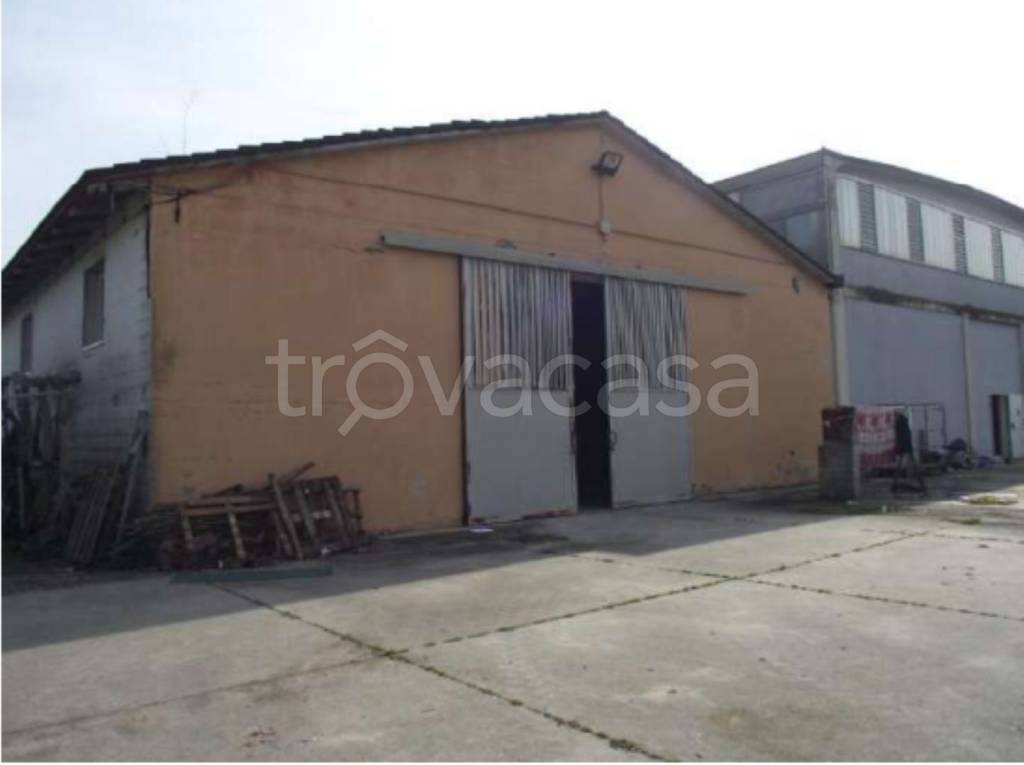 immagine annuncio 11 di 13