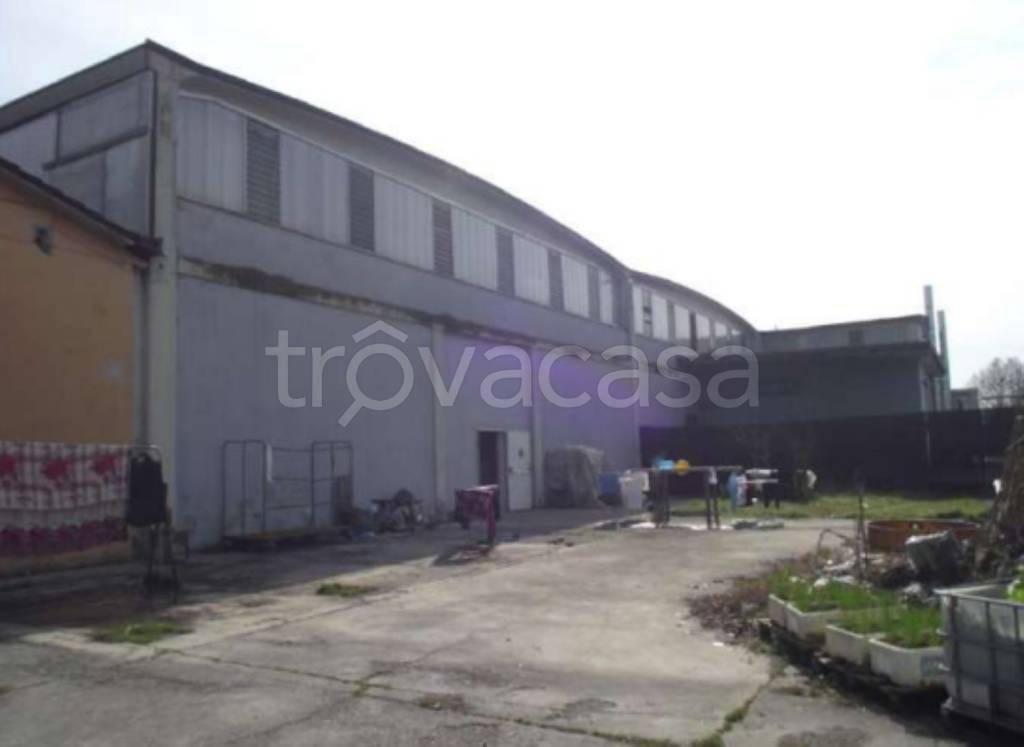 immagine annuncio 12 di 13