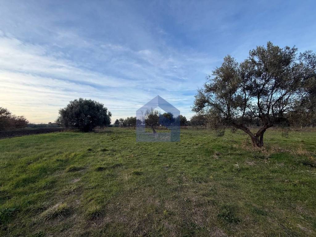 immagine annuncio 1 di 9