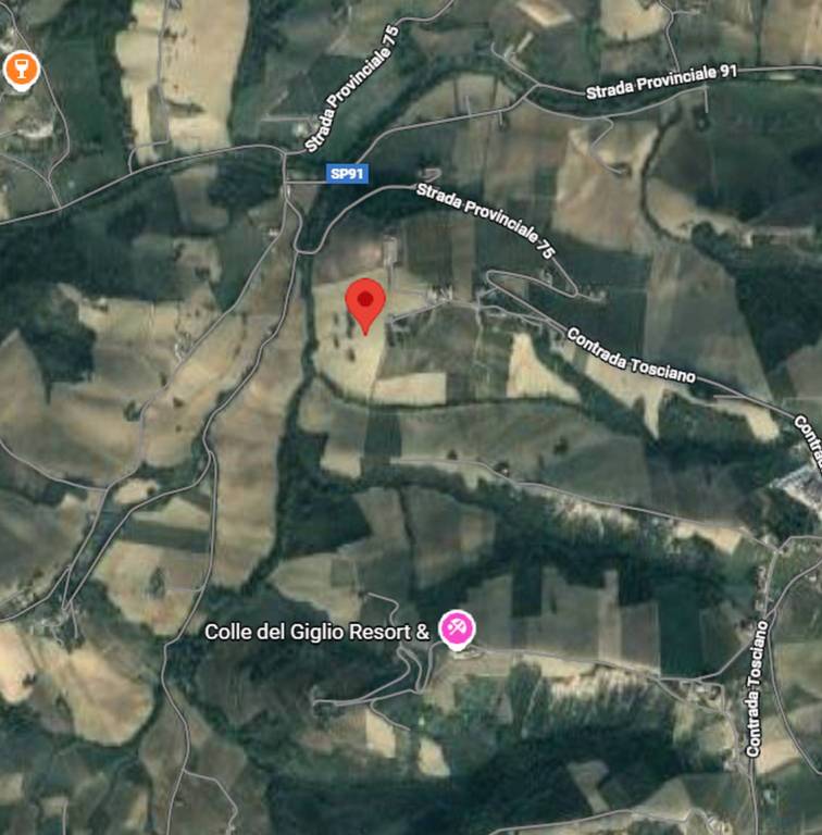 immagine annuncio 2 di 9