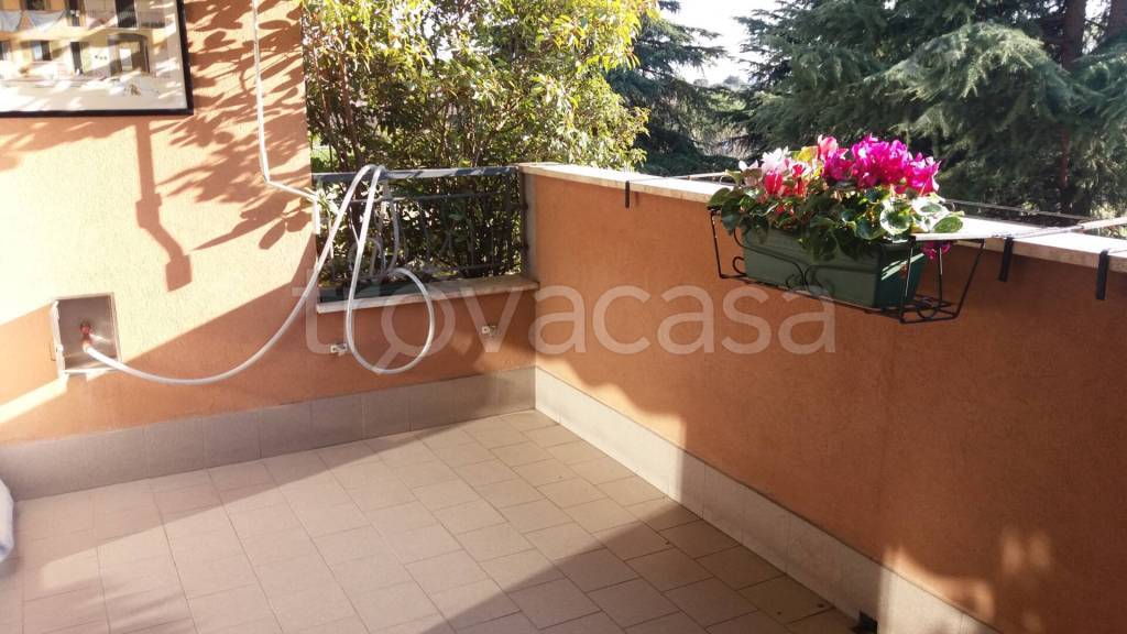 immagine annuncio 6 di 14