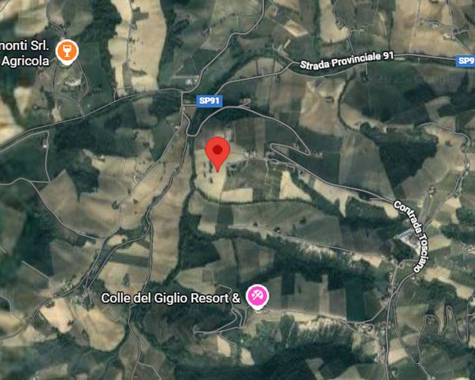 immagine annuncio 3 di 9