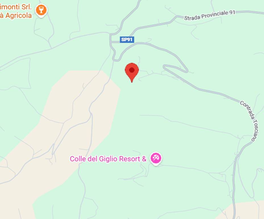 immagine annuncio 5 di 9