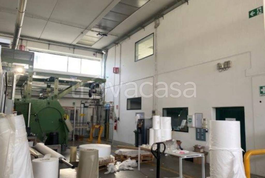 immagine annuncio 3 di 11