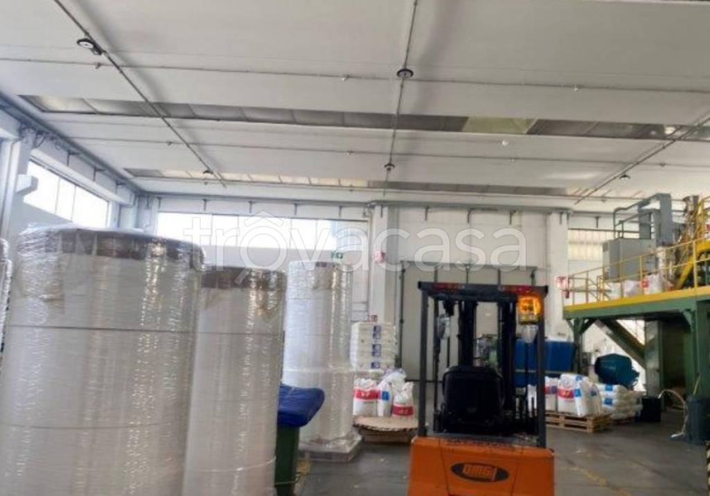 immagine annuncio 5 di 11