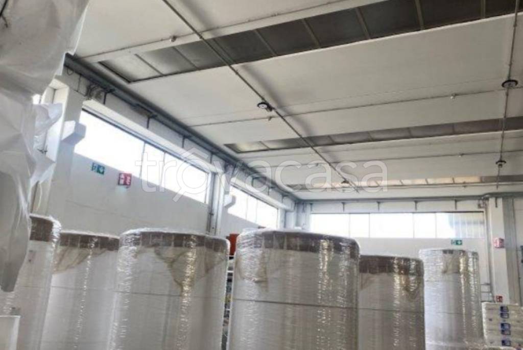 immagine annuncio 6 di 11