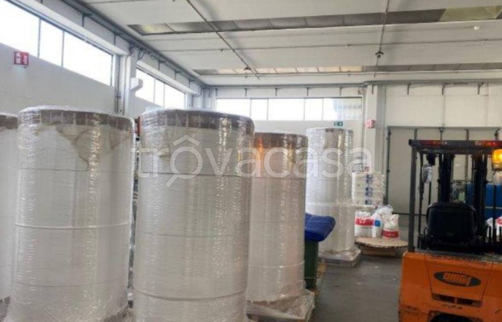 immagine annuncio 7 di 11