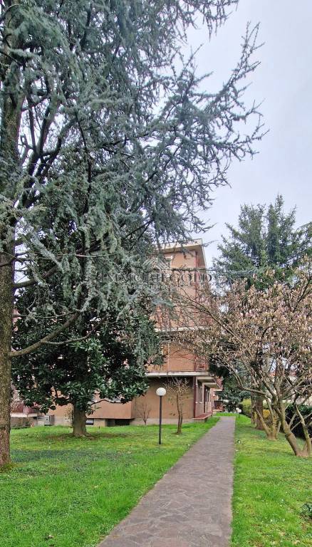 immagine annuncio 6 di 8