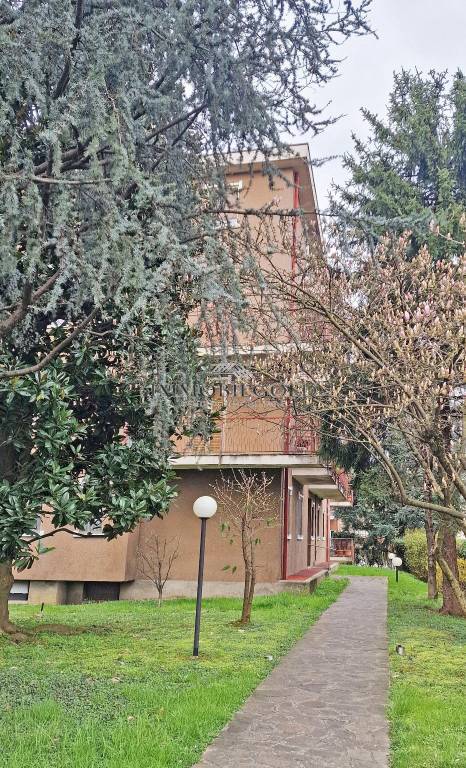 immagine annuncio 7 di 8