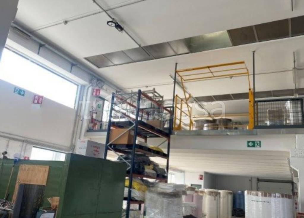 immagine annuncio 10 di 11