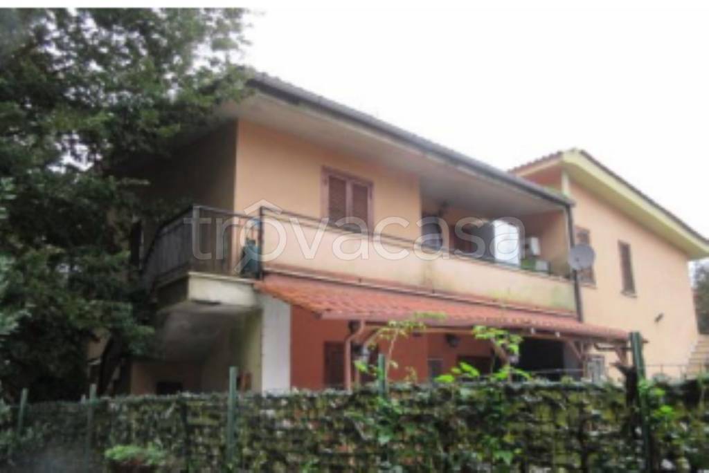 immagine annuncio 4 di 12