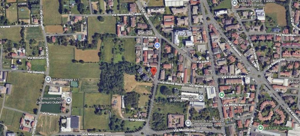 immagine annuncio 1 di 10