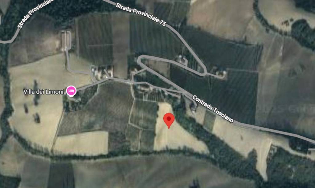 immagine annuncio 5 di 11