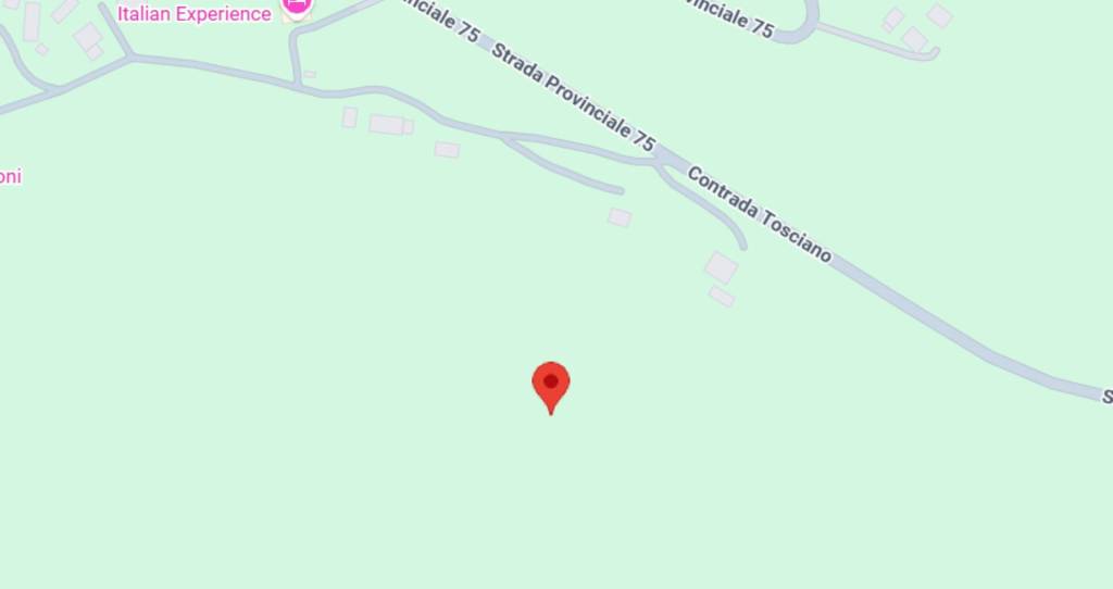 immagine annuncio 10 di 11