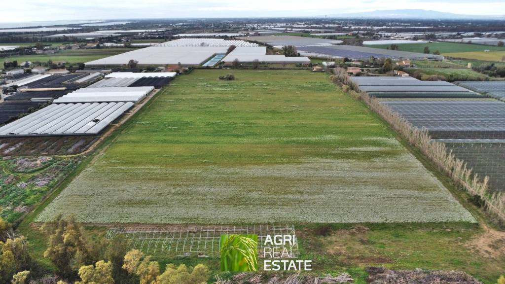 immagine annuncio 3 di 11