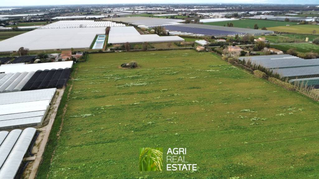 immagine annuncio 5 di 11