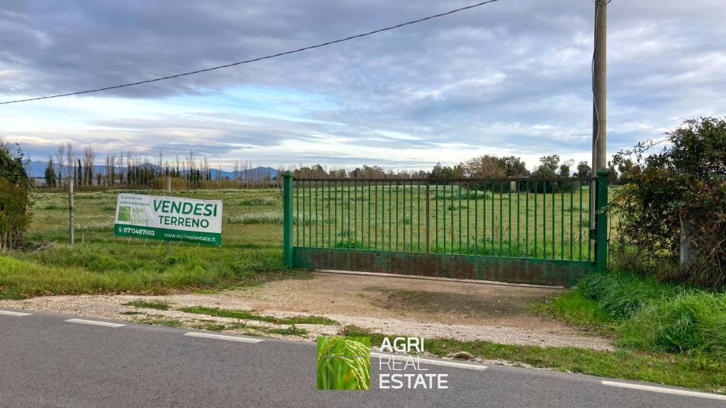 immagine annuncio 7 di 11