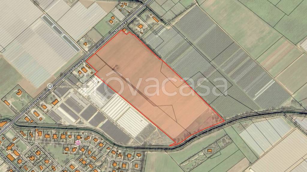 immagine annuncio 8 di 11