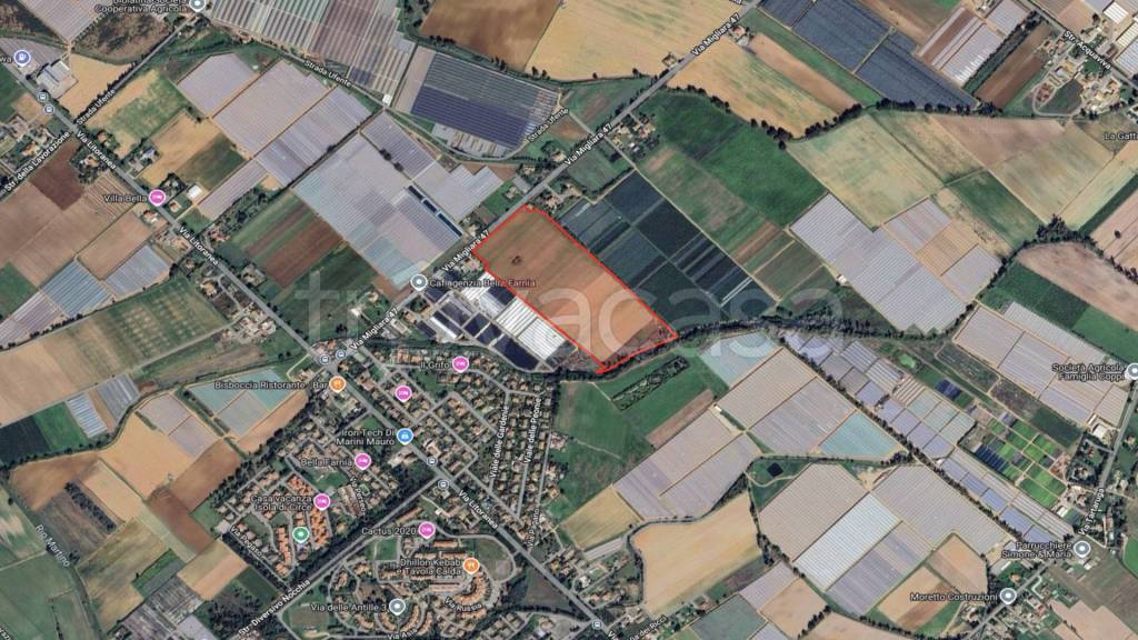 immagine annuncio 9 di 11