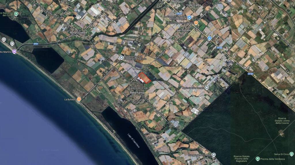 immagine annuncio 10 di 11