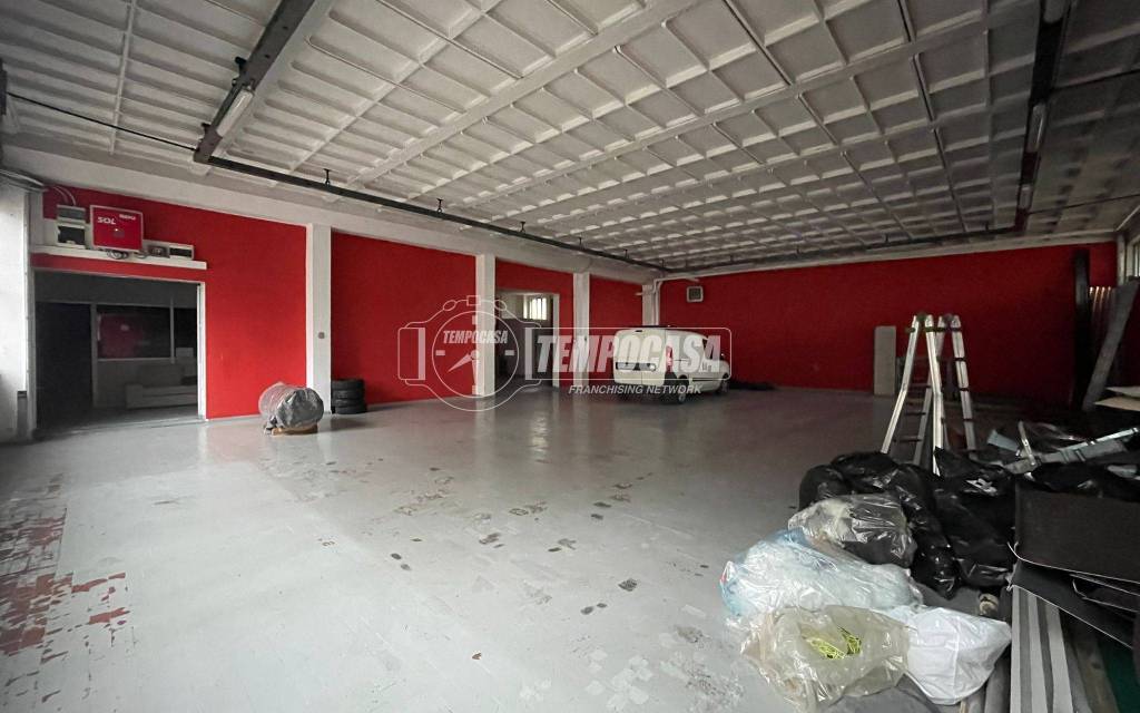 immagine annuncio 9 di 15