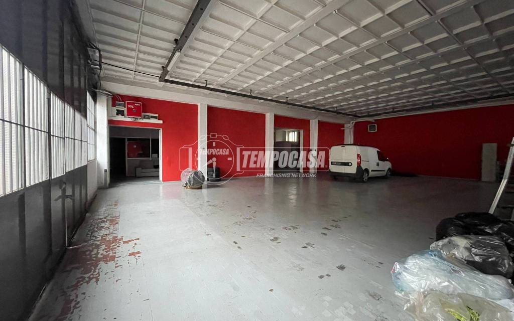 immagine annuncio 10 di 15