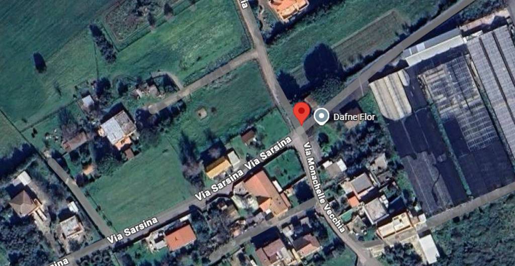 immagine annuncio 2 di 11