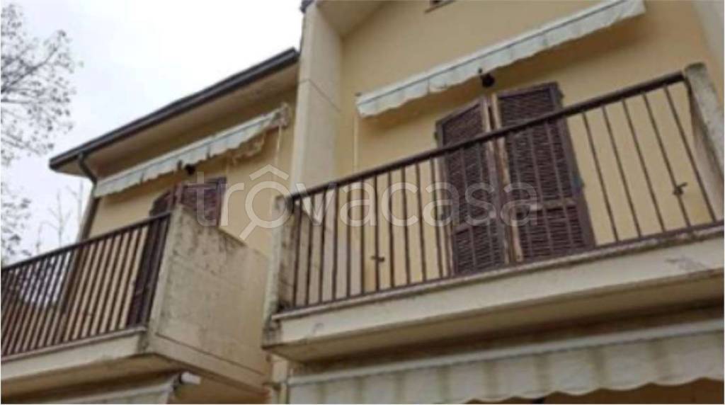 immagine annuncio 12 di 14