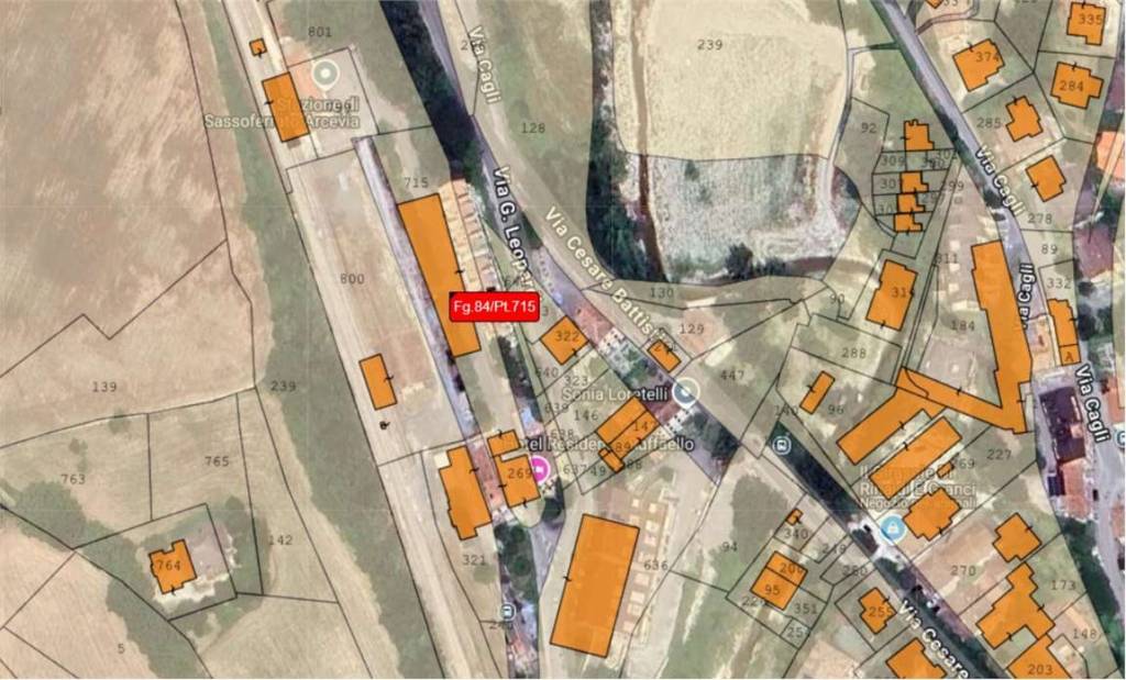 immagine annuncio 1 di 14