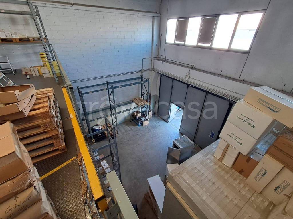 immagine annuncio 11 di 15