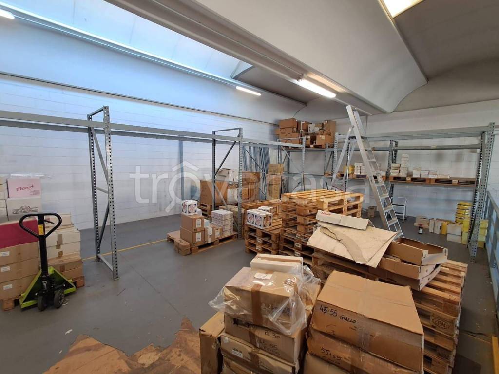 immagine annuncio 12 di 15