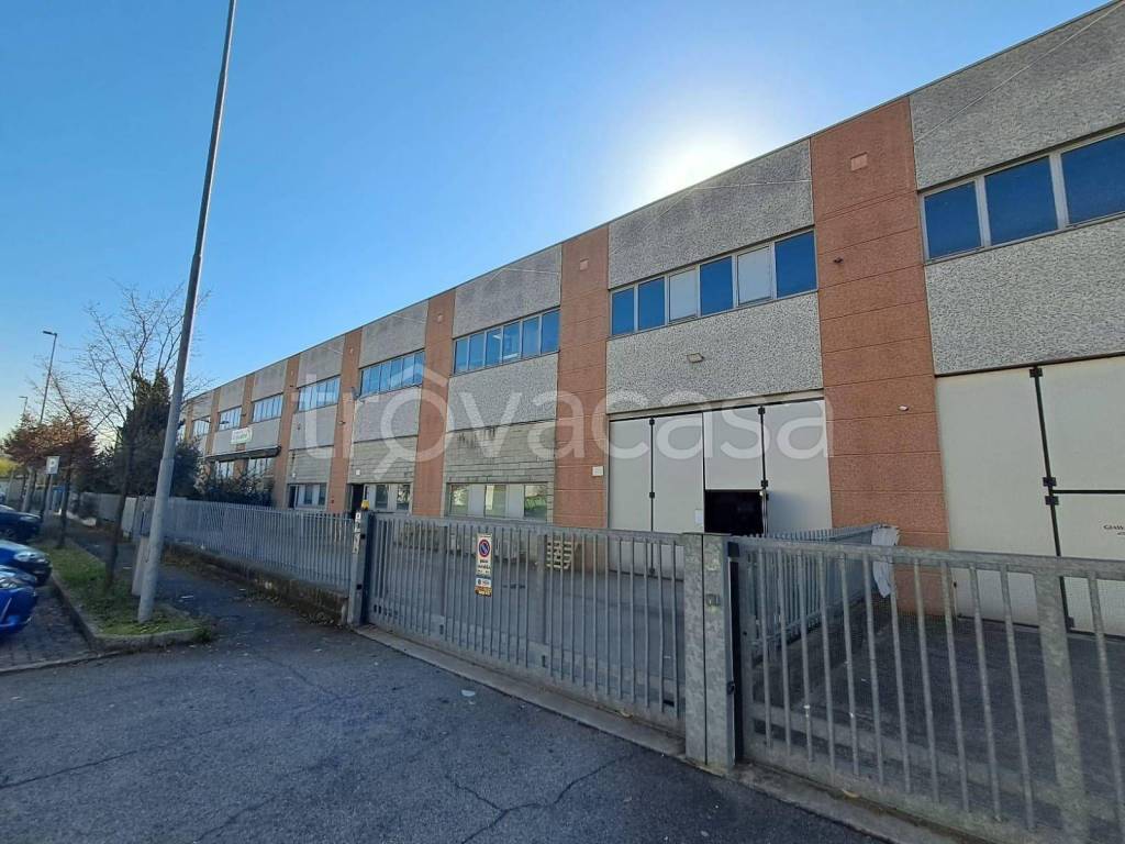 immagine annuncio 1 di 15