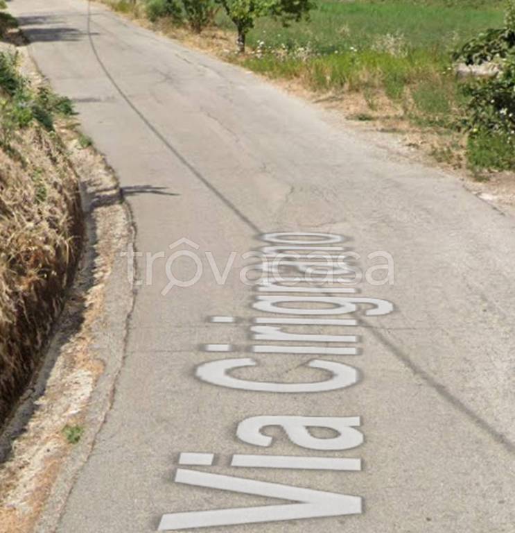 immagine annuncio 7 di 11