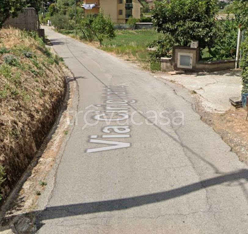 immagine annuncio 8 di 11