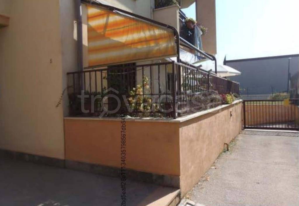 immagine annuncio 10 di 11