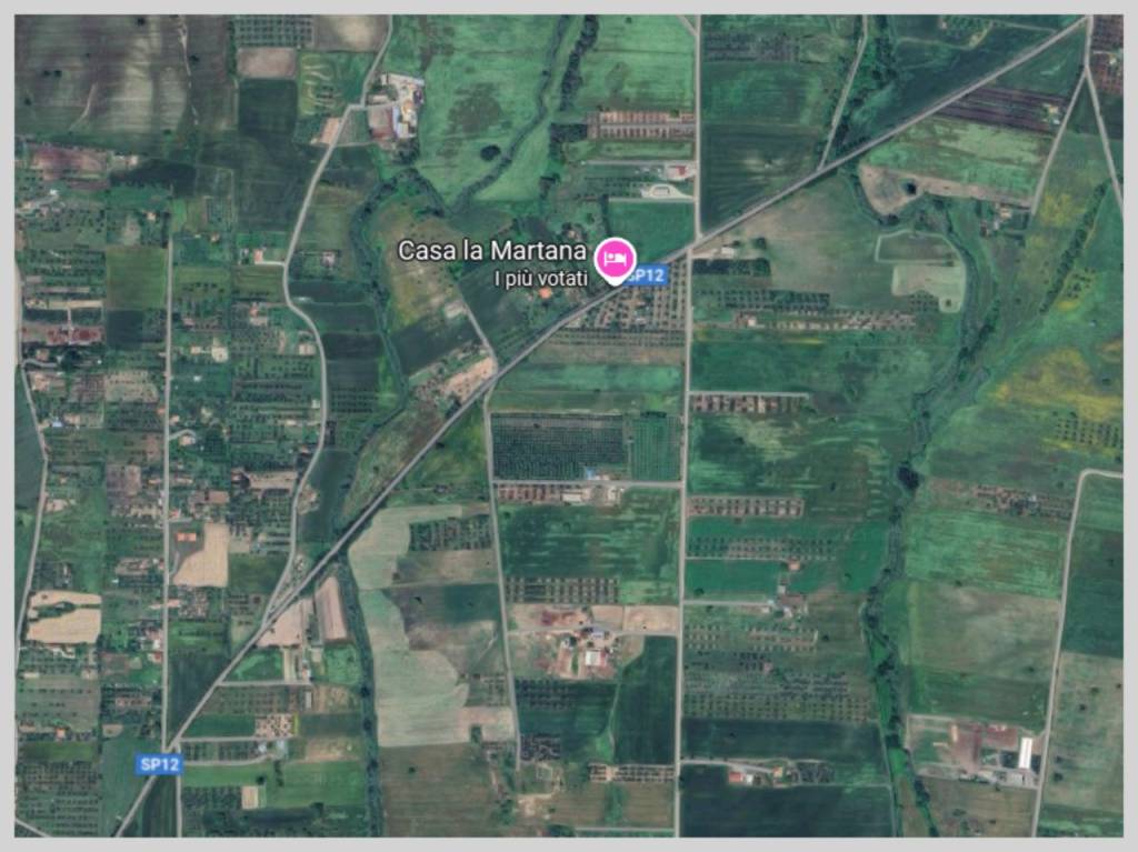 immagine annuncio 10 di 15