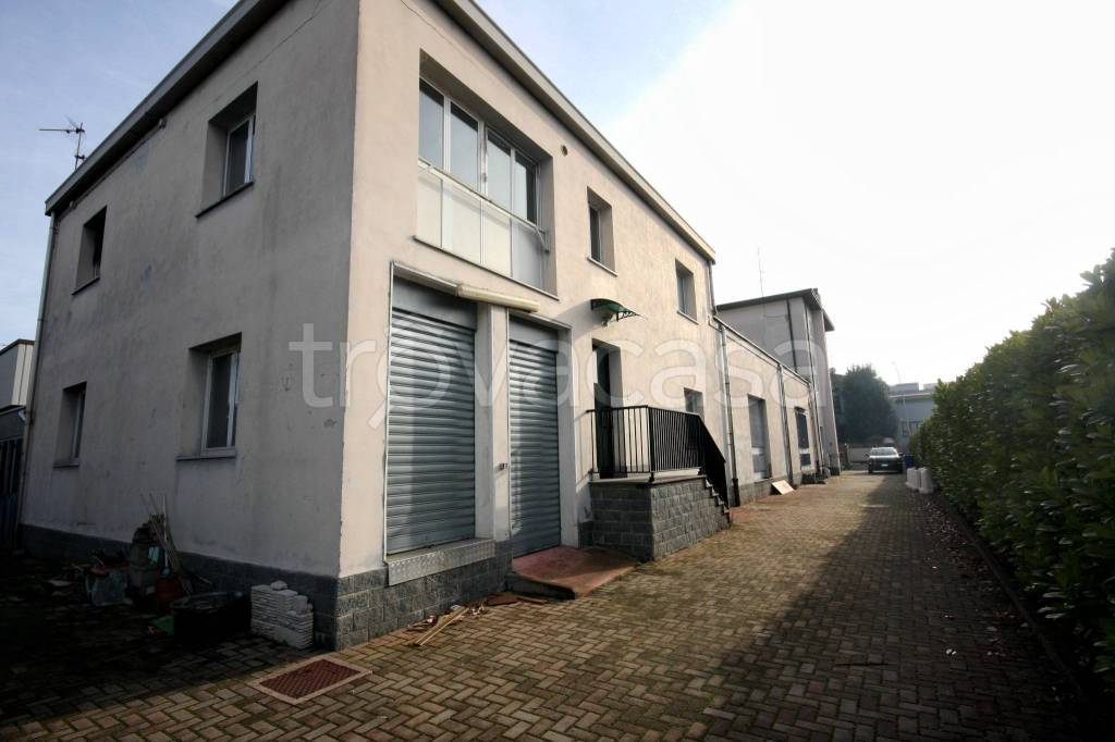 immagine annuncio 9 di 15