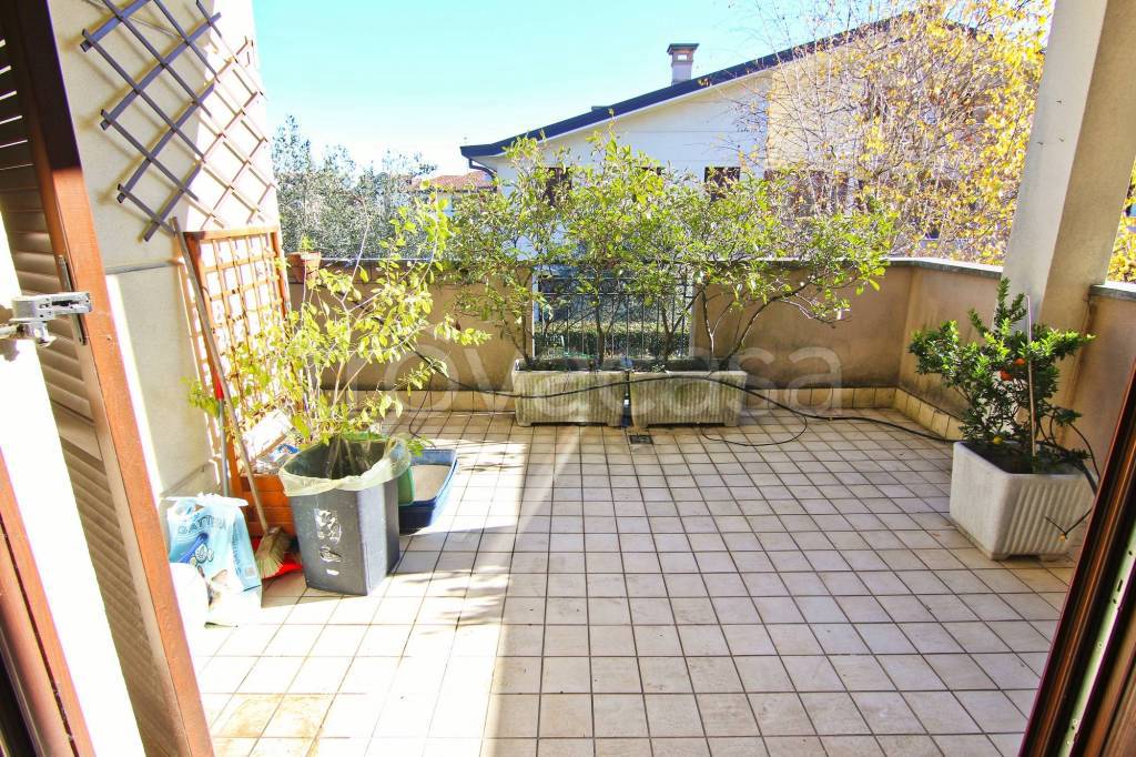 immagine annuncio 7 di 15