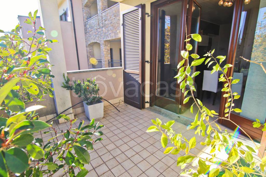 immagine annuncio 9 di 15