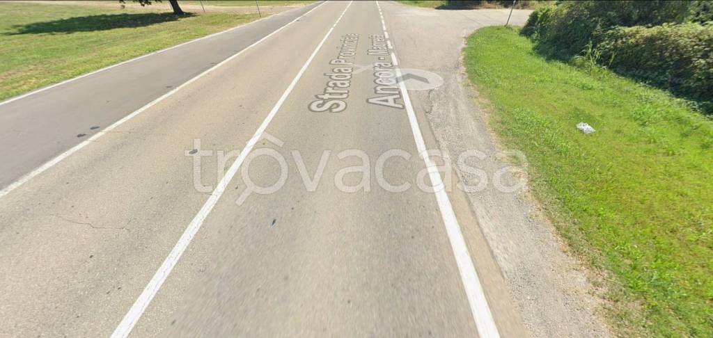 immagine annuncio 9 di 11