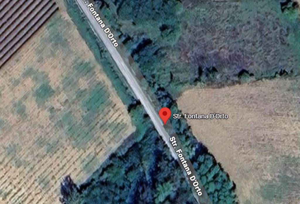 immagine annuncio 5 di 11