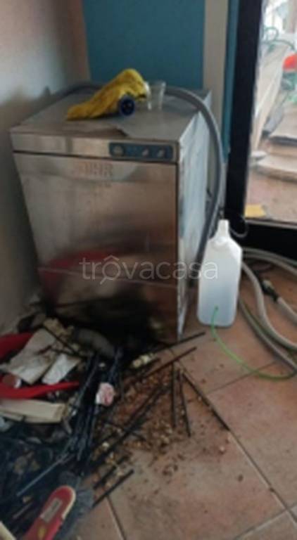 immagine annuncio 7 di 14