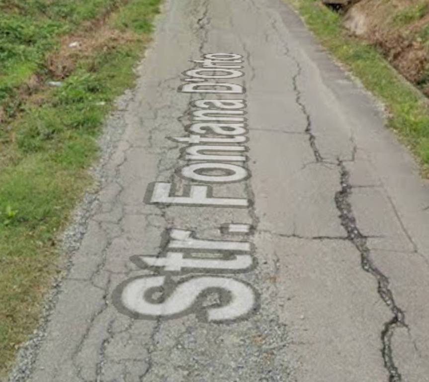 immagine annuncio 10 di 11