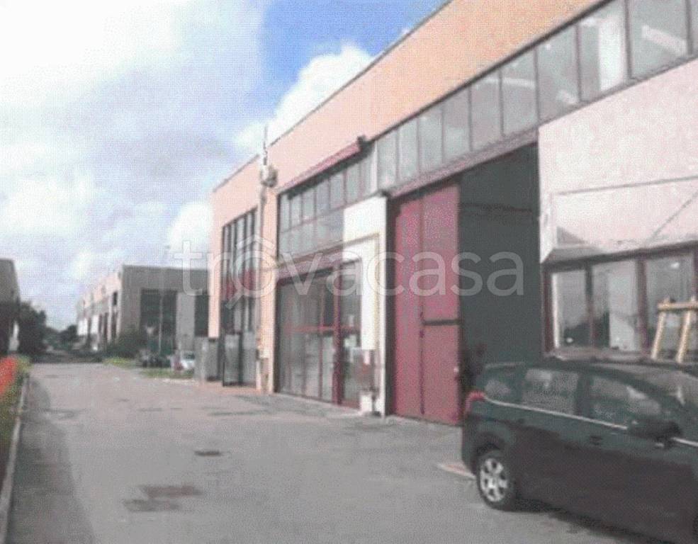 immagine annuncio 9 di 11